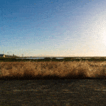 Napa River and Bay Trail wetlands