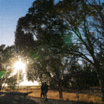 Two people walking on trail at Napa River and Bay Trail park