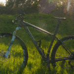 Jack and Bernice Newell Open Space Preserve American Canyon Napa Valley bicycle in grass