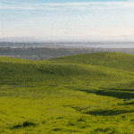 Jack and Bernice Newell Open Space Preserve American Canyon Napa Valley grassy hills