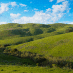 Jack and Bernice Newell Open Space Preserve American Canyon Napa Valley green grass hills with blue sky