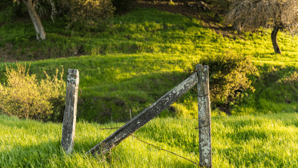 Jack & Bernice Newell Open Space Preserve