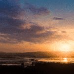 Napa River and Bay Trail wetlands at sunset